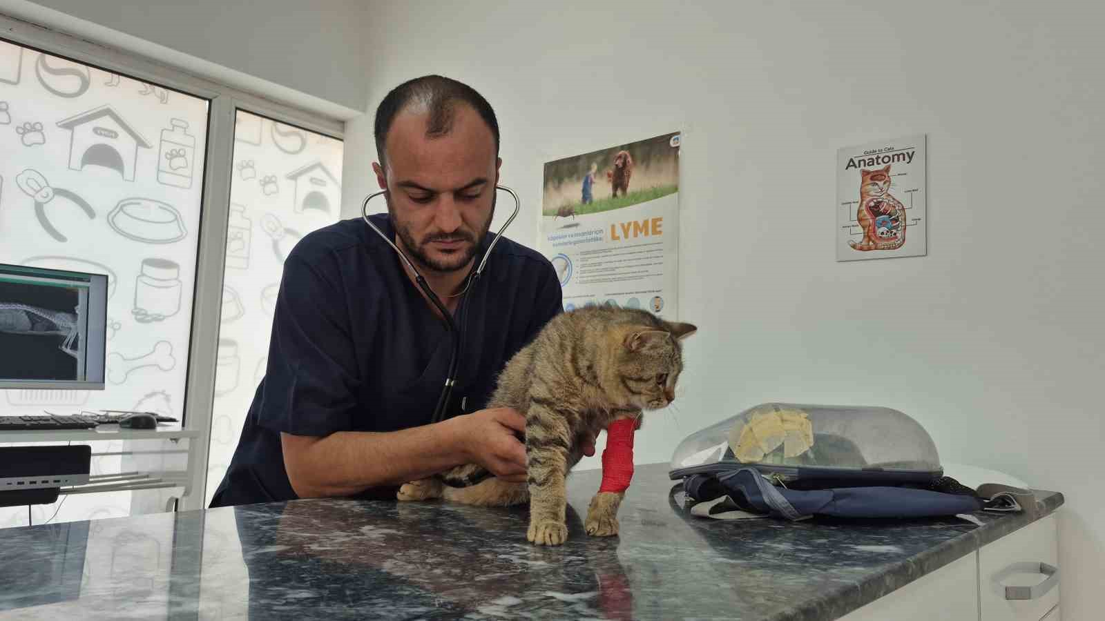 Kediyi not yazıp &ccedil;anta i&ccedil;inde veteriner kiliğinin kapısına bıraktılar
