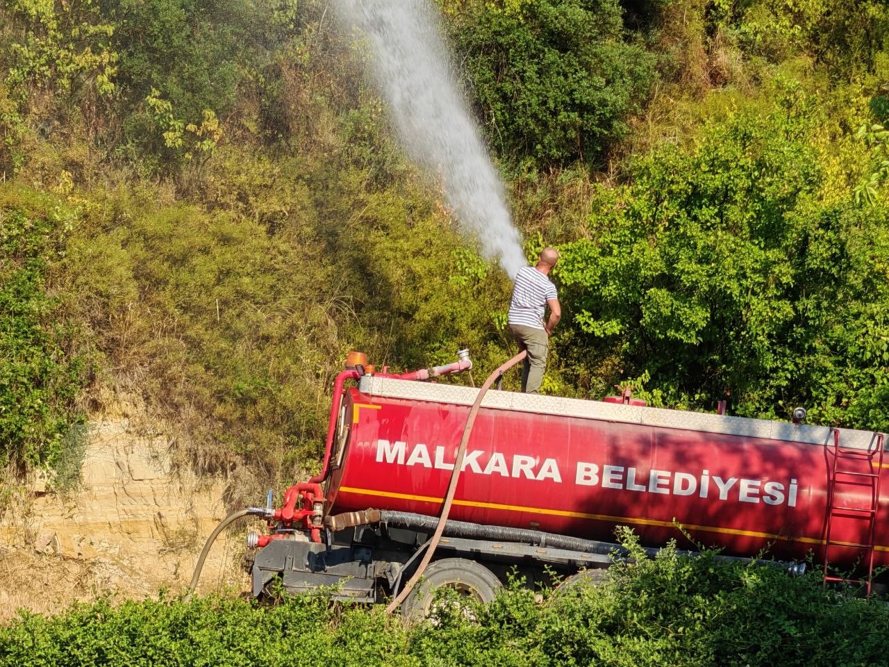 Tekirdağ’da anız yangını ormanlık alana sıçradı