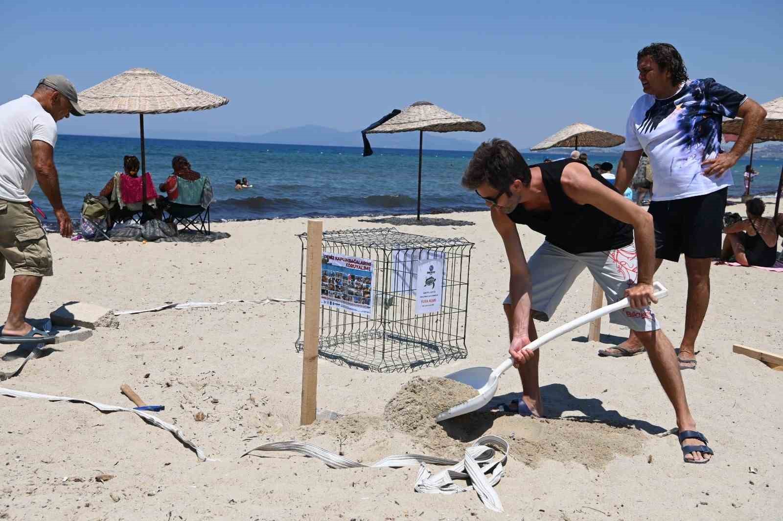 Kuşadası’nda caretta caretta yumurtaları zarar görmemesi için taşındı