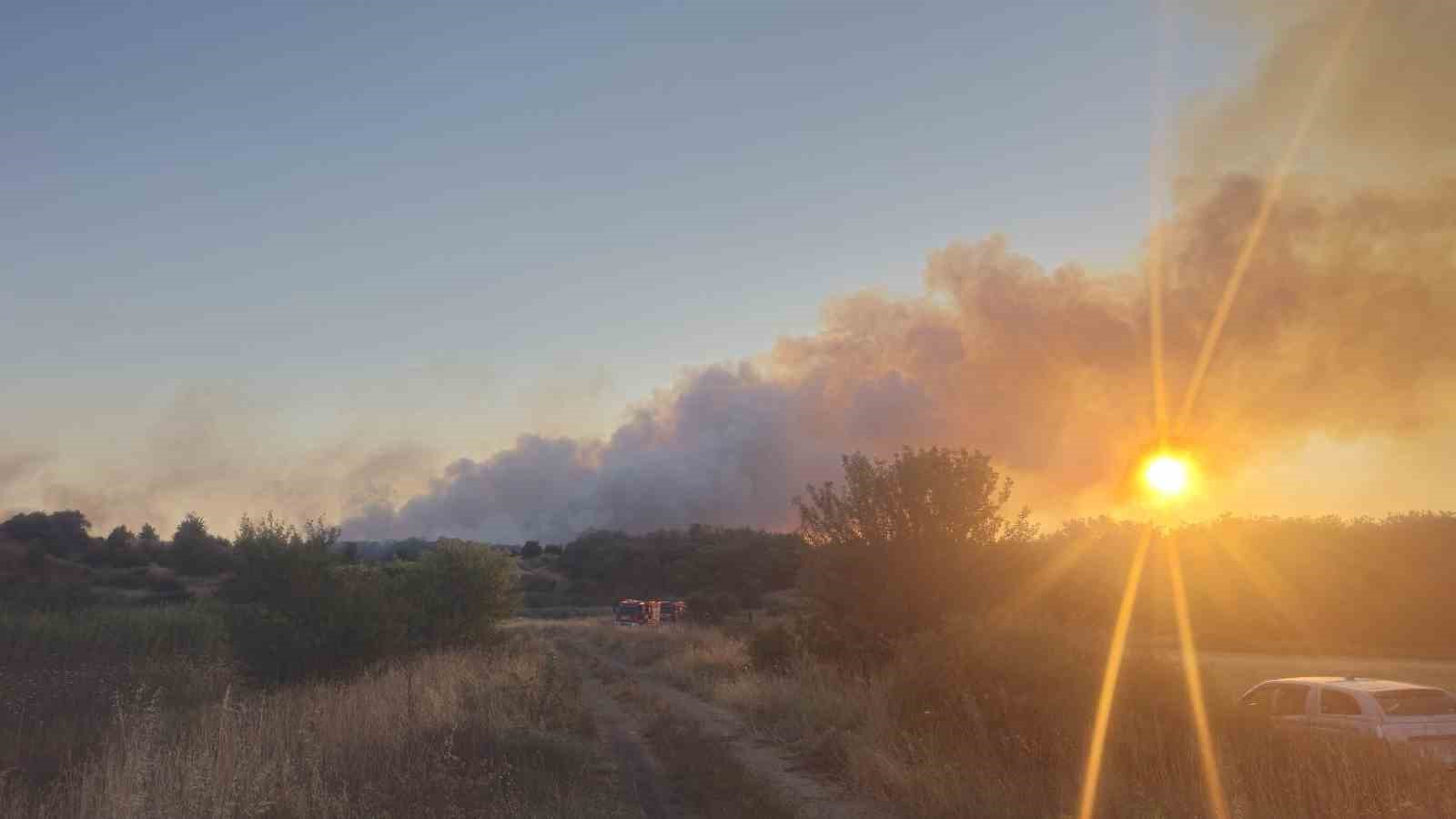 Tekirdağ’daki yangın kontrol altına alındı