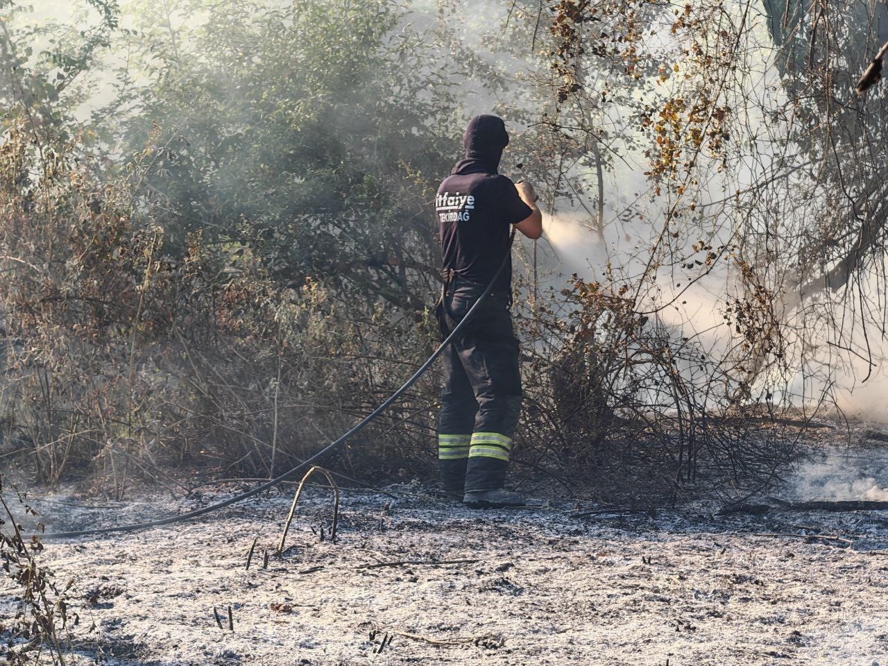 Malkara’da ormana sıçrayan anız yangını kontrol altına alındı