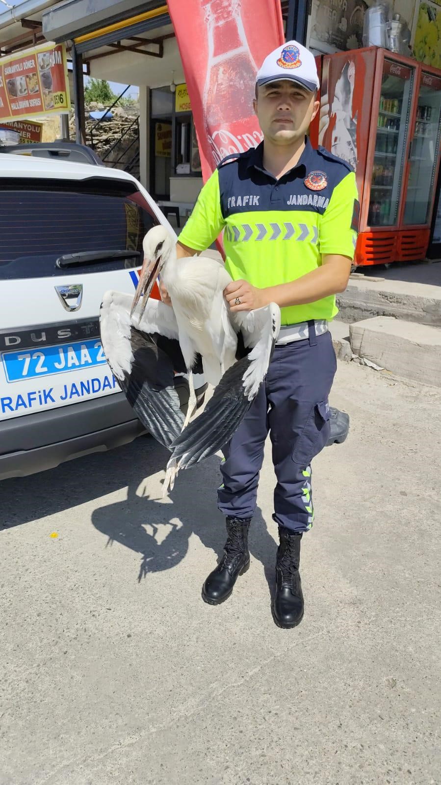 Trafik ekiplerinin radarına yakalanan yaralı leylek tedavi altına alındı