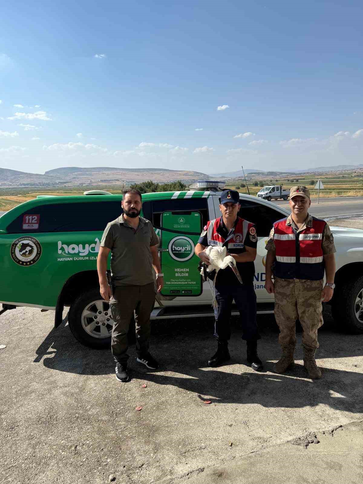 Trafik ekiplerinin radarına yakalanan yaralı leylek tedavi altına alındı