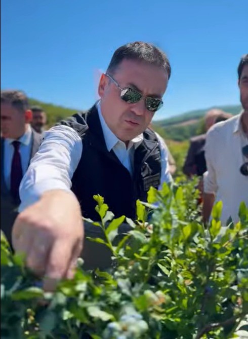 Bilecik&rsquo;te yaban mersini hasadı
