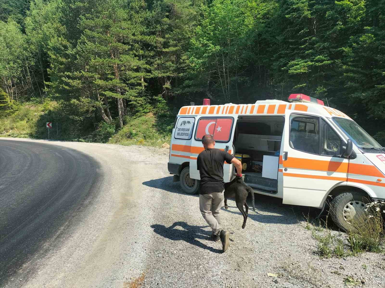 8 metre derinliğindeki rögara düşen köpekler kurtarıldı