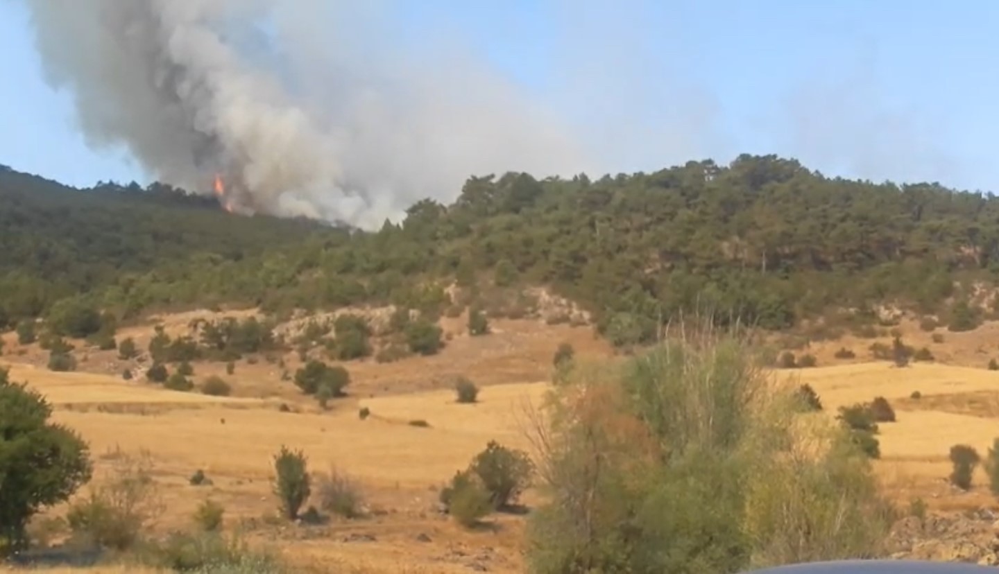 Seyitgazi&rsquo;de yangına havadan m&uuml;dahale
