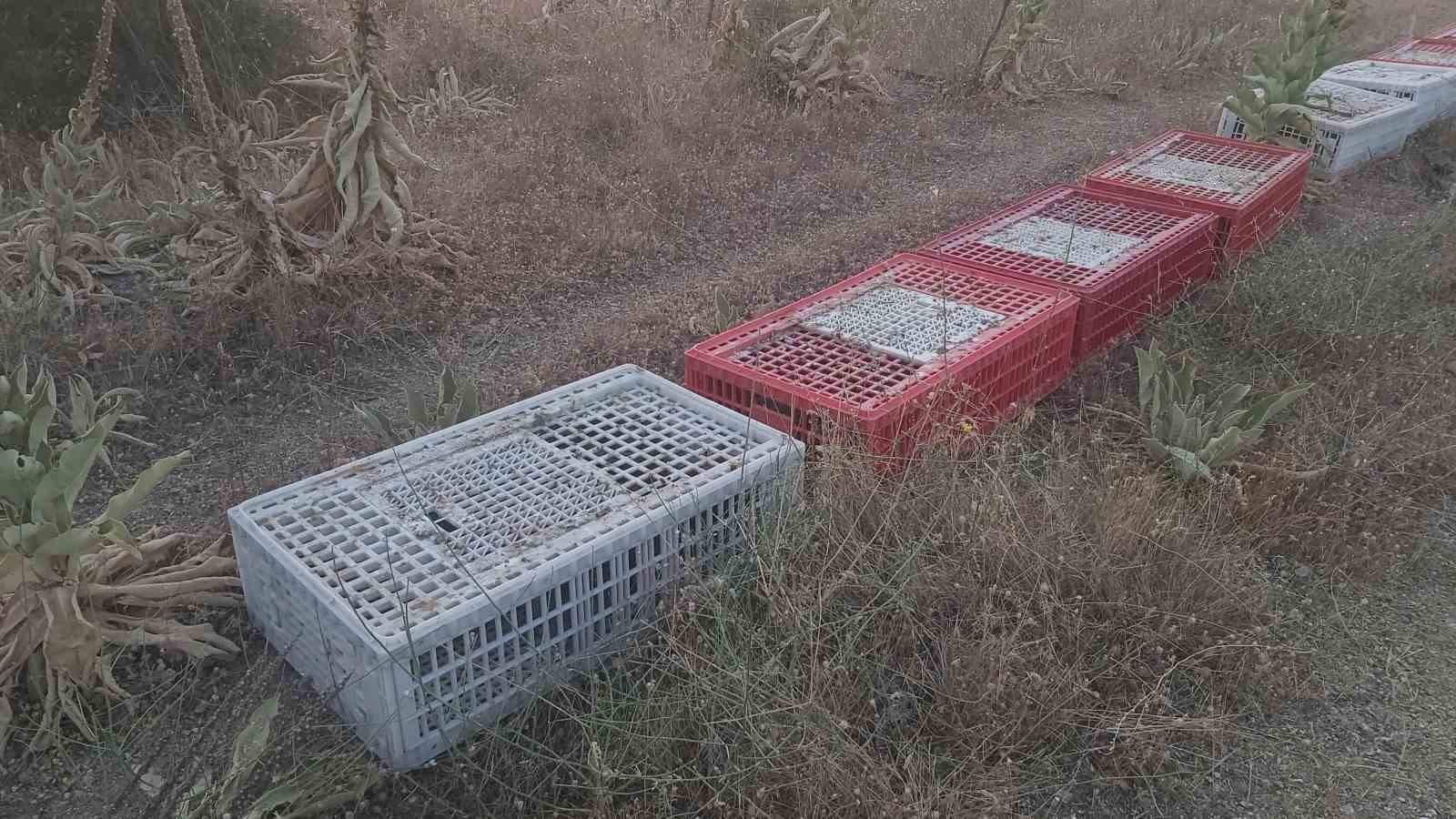 Kırklareli’nde doğaya keklik salındı
