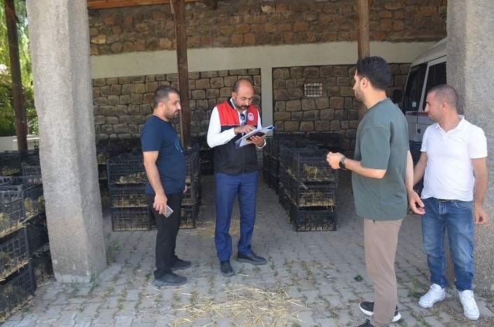 Bulanık’ta "Kaz Yetiştiriciliği" projesi kapsamında kaz palazı dağıtıldı