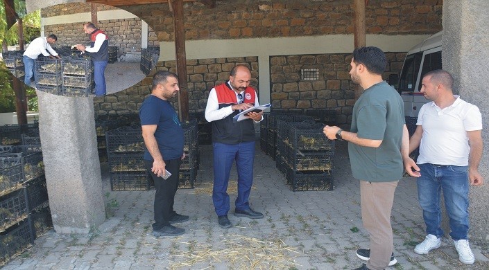 Bulanık’ta "Kaz Yetiştiriciliği" projesi kapsamında kaz palazı dağıtıldı