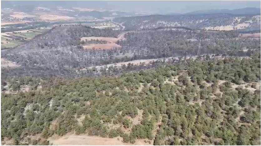 Bilecik’te yangın bölgesi havadan görüntülendi