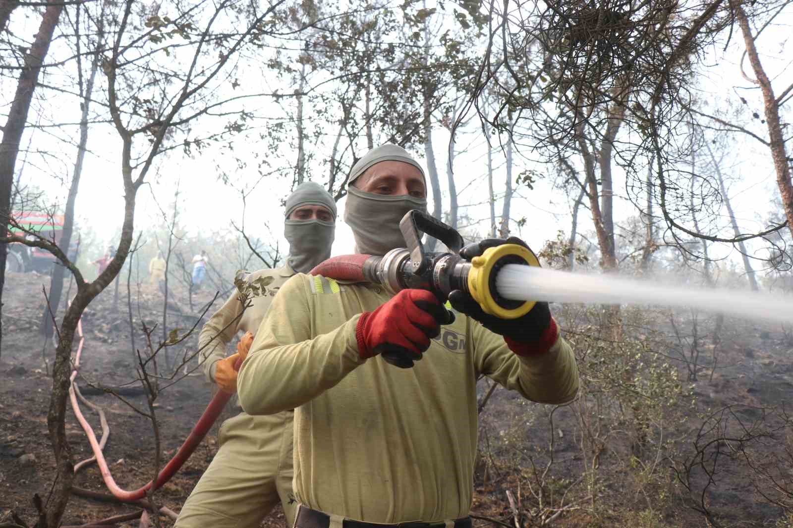 Yeşil vatanın muhafızları alevler içinde mücadeleyi sürdürüyor