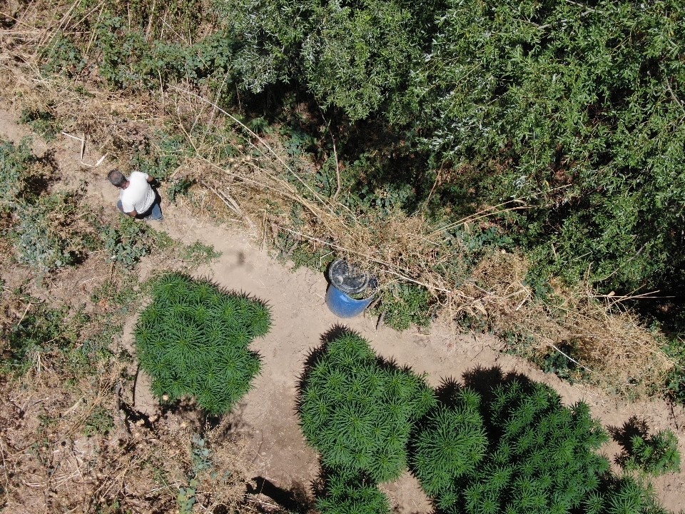 Manisa’da jandarmadan büyük uyuşturucu operasyonu