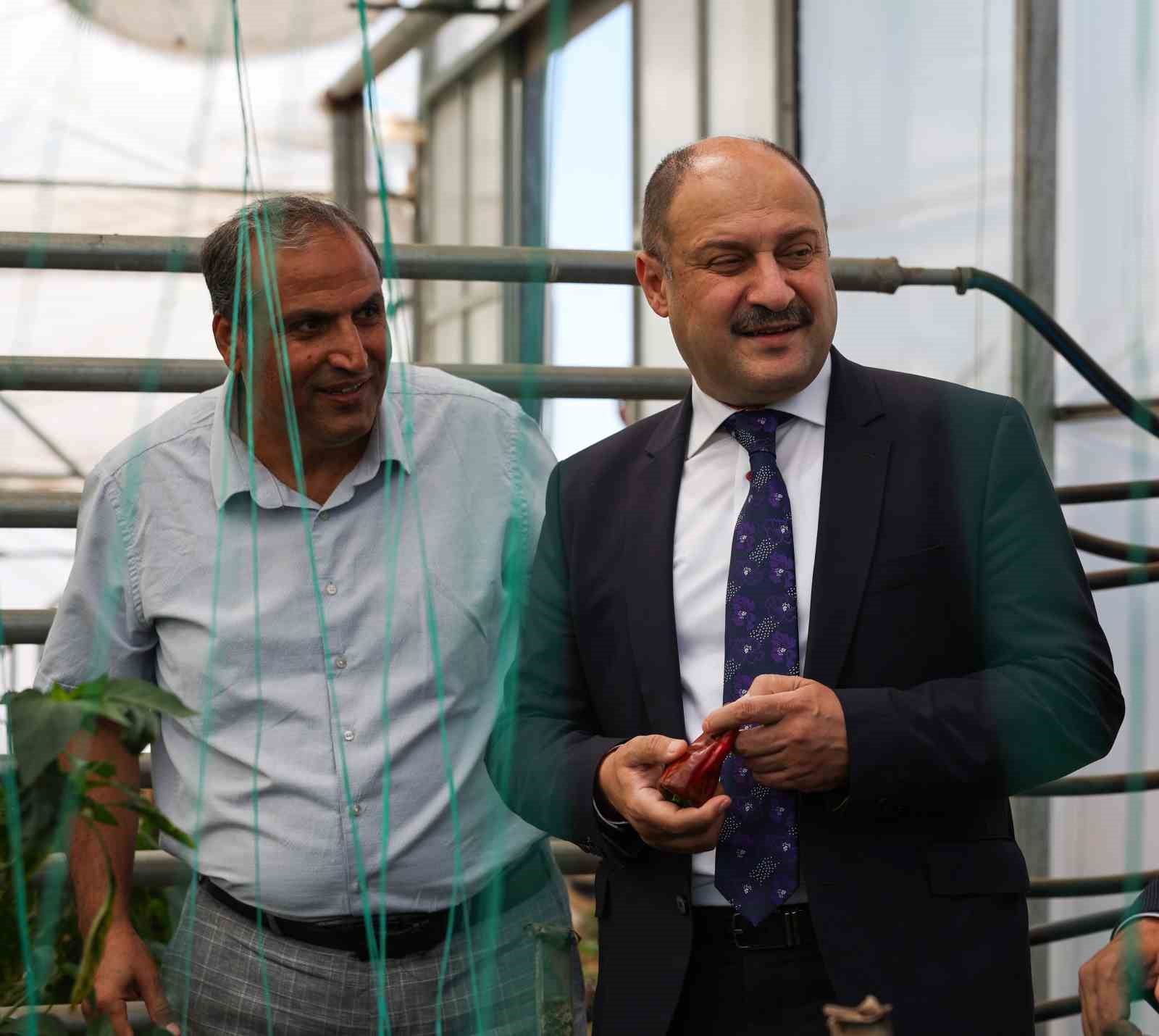 Şanlıurfa Büyükşehir Belediyesi Ata Tohumuna sahip çıkıyor