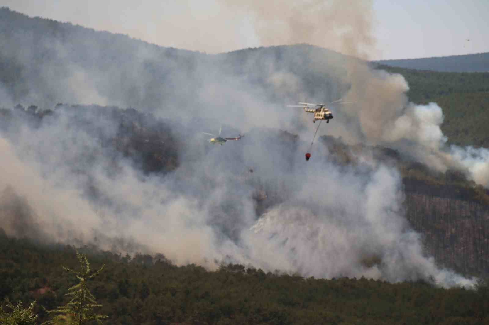 Seyitgazi’de çıkan yangın büyümeye devam ediyor