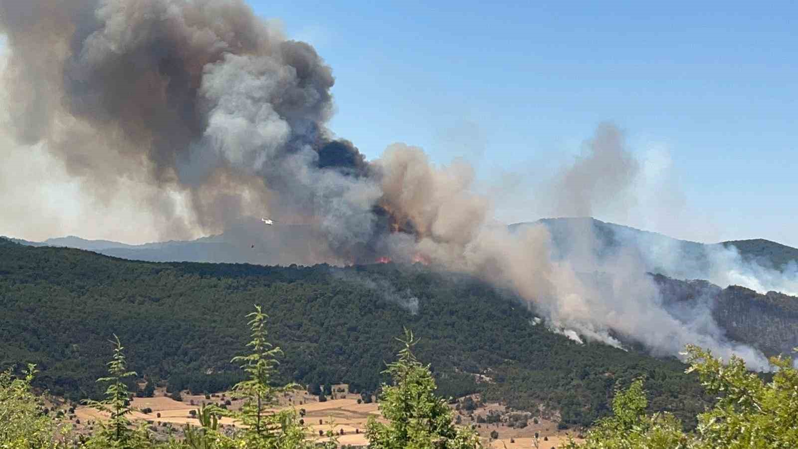 Seyitgazi&rsquo;de &ccedil;ıkan yangın b&uuml;y&uuml;meye devam ediyor
