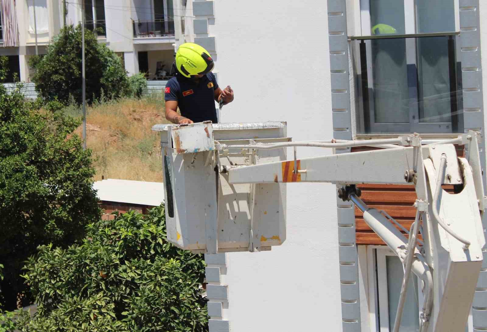Aydın’da balkonda sıkışan kumruyu vatandaşın dikkati kurtardı