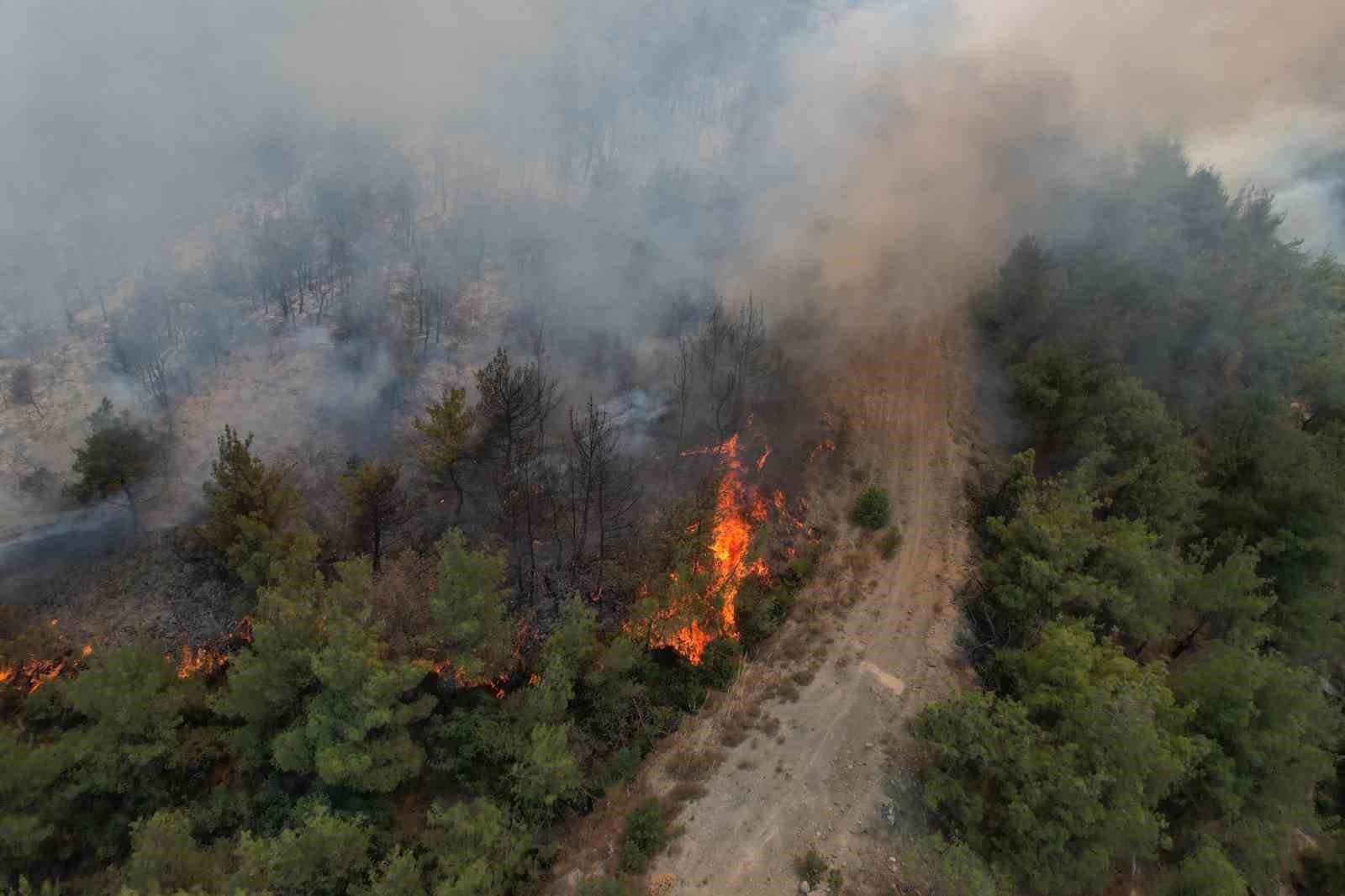 Sakarya’da yangın 45 saattir sürüyor: Alevler zaman zaman yeniden yükseliyor