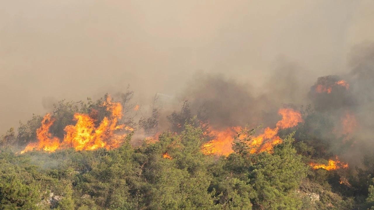 Kocaeli itfaiyesinden Sakarya’ya destek