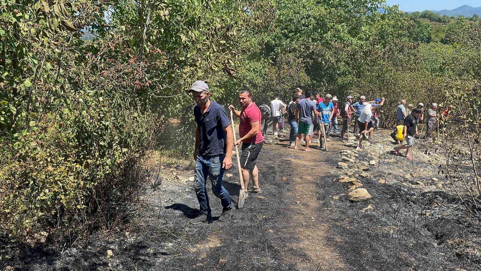 Fındık bah&ccedil;esinde temizlerken bir d&ouml;n&uuml;m alan zarar g&ouml;rd&uuml;
