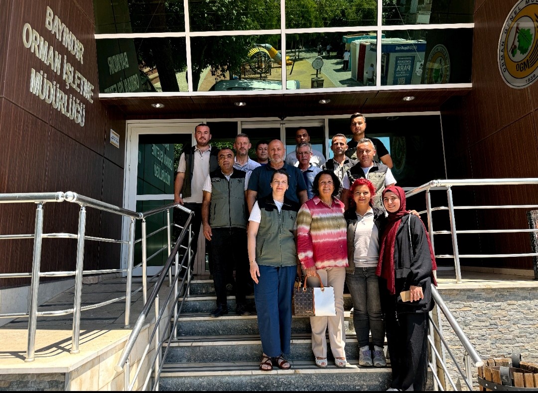 ’Yanan ormanlar imara açılacak’ iddialarına sert tepki