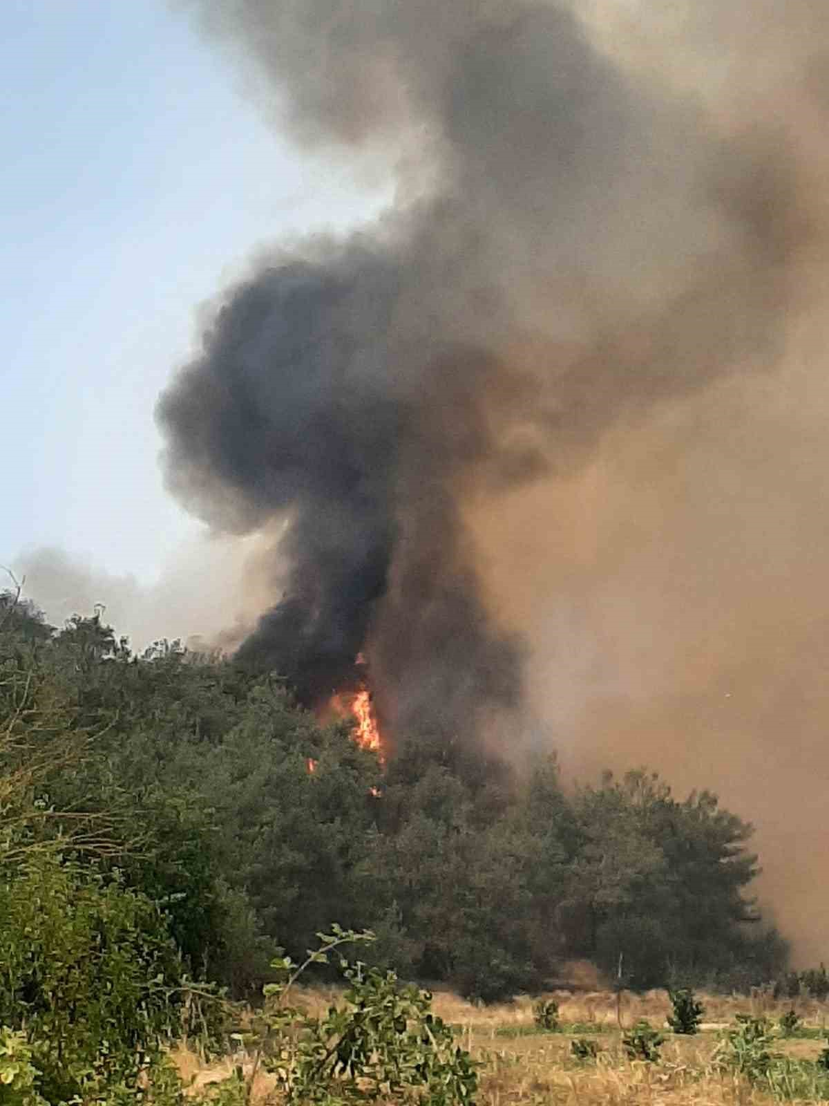 Bilecik’te alevler yeniden yükselmeye başladı