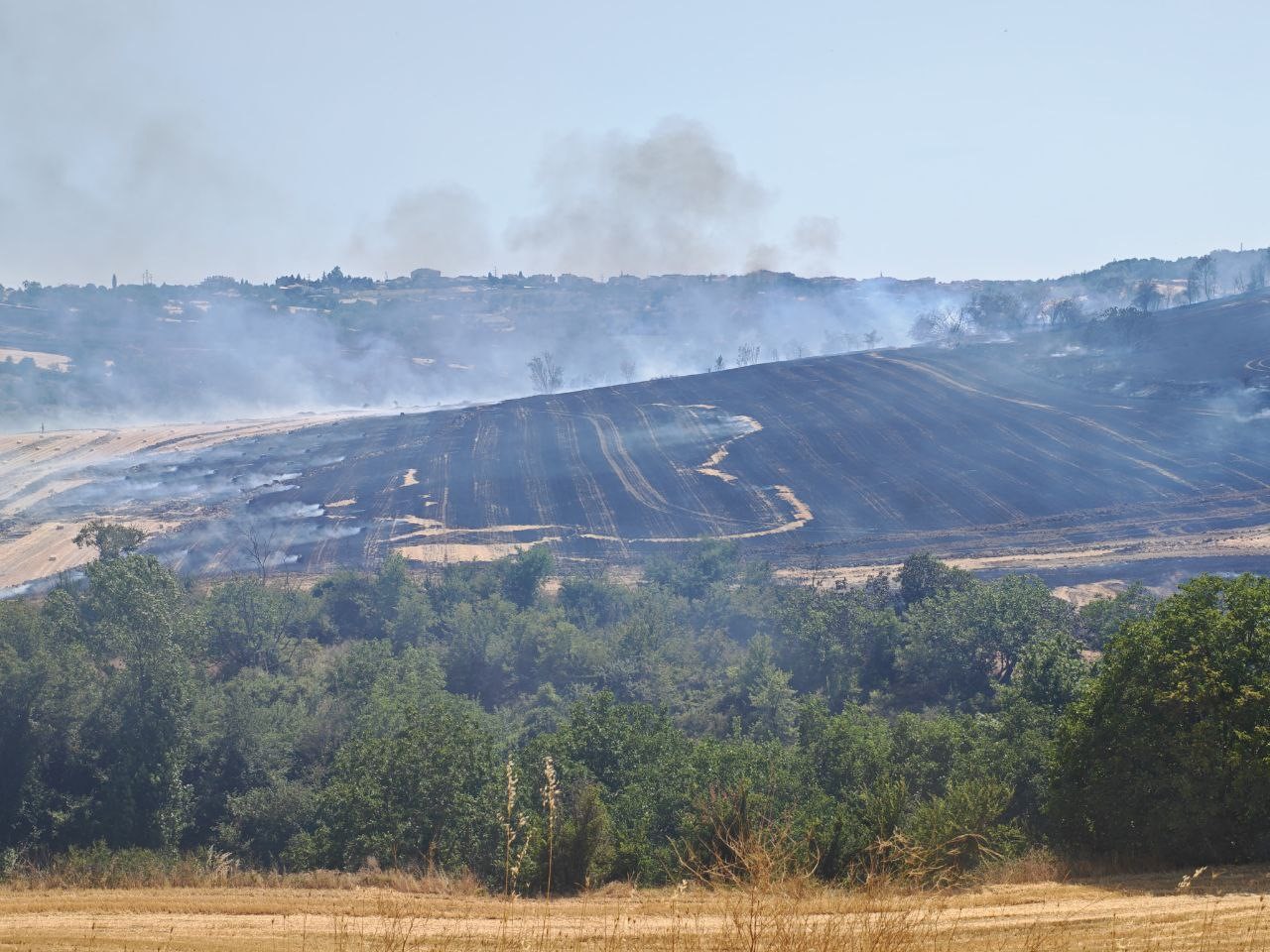 Malkara’da anız yangını 200 dönümlük arazide tahribata yol açtı