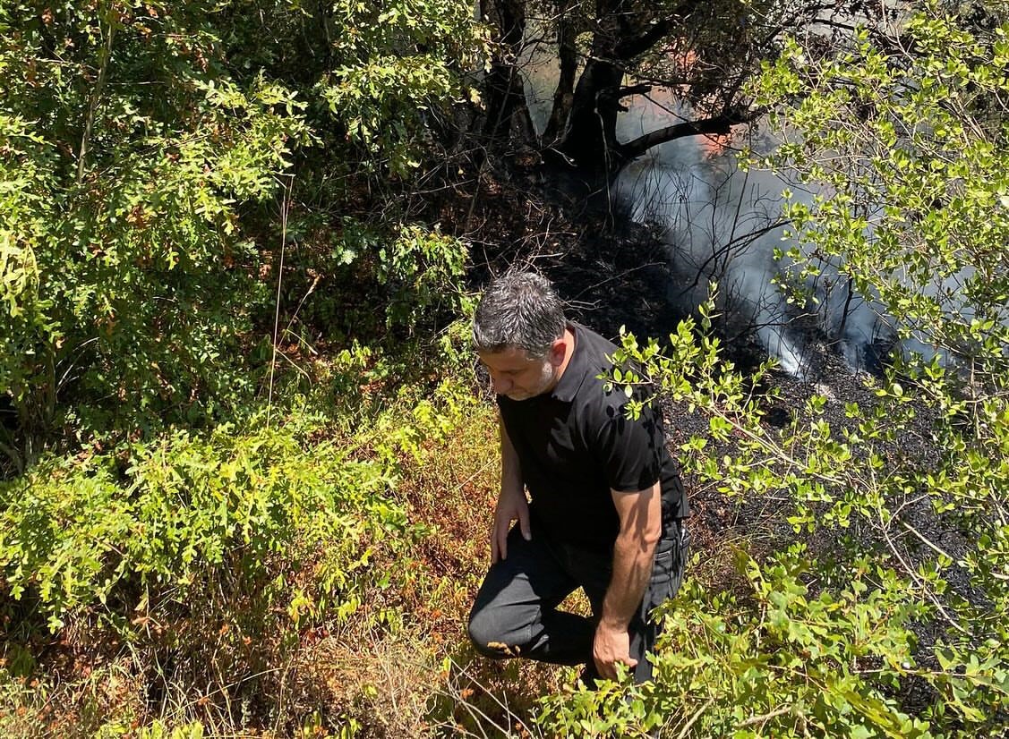 Adapazarı’nda ormanlık alanda yangın çıktı