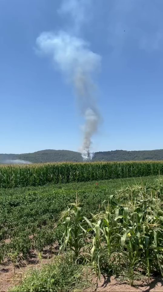 Adapazarı&rsquo;nda ormanlık alanda yangın &ccedil;ıktı
