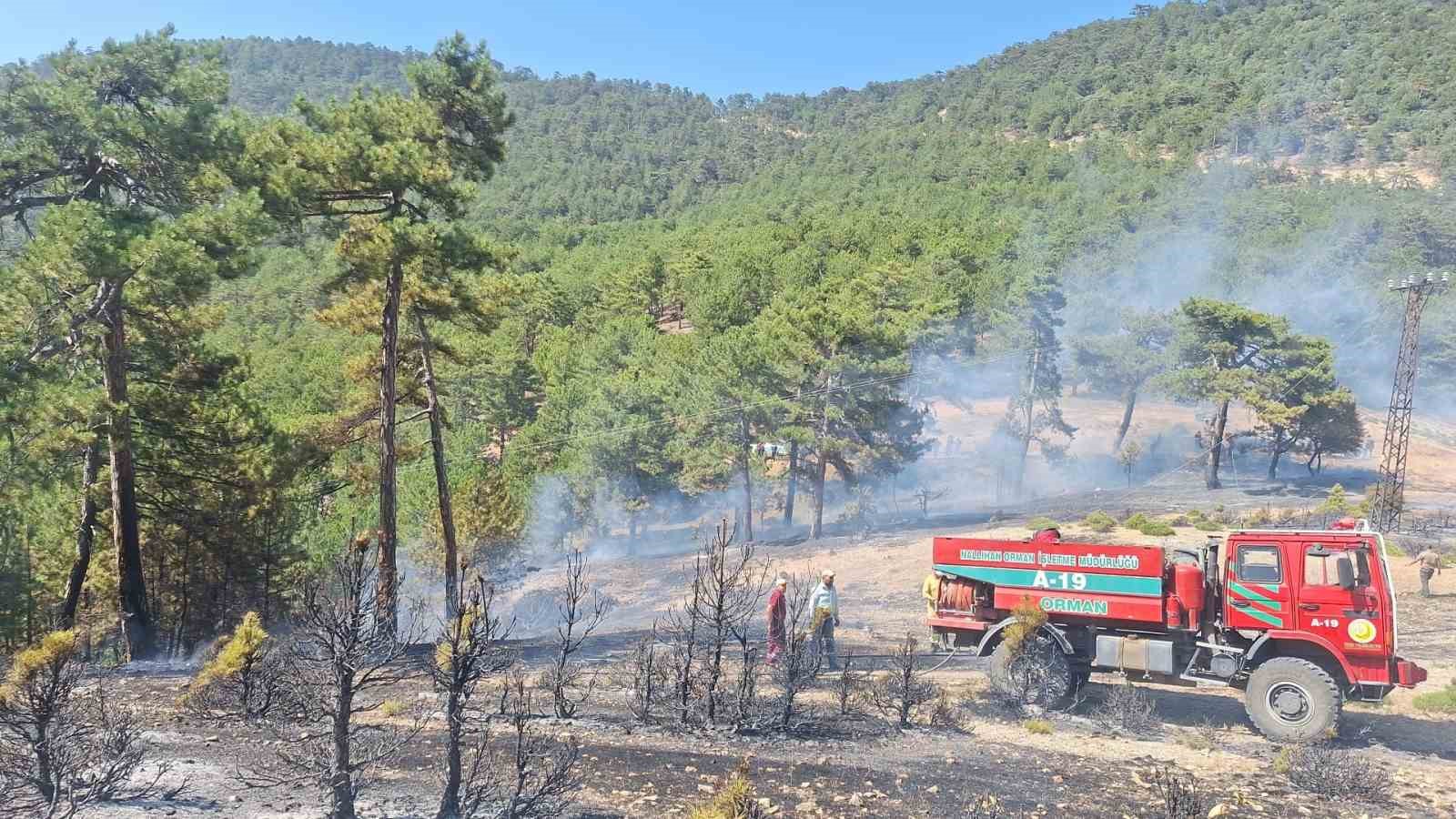 Bolu’da çıkan orman yangını büyümeden söndürüldü