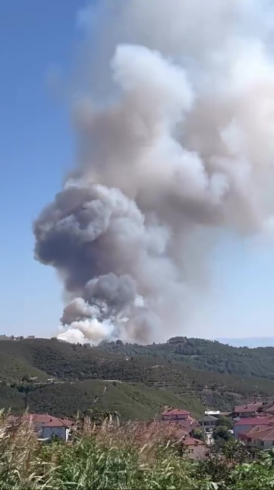 Sakarya’nın Hendek ilçesinde de yangın çıktı