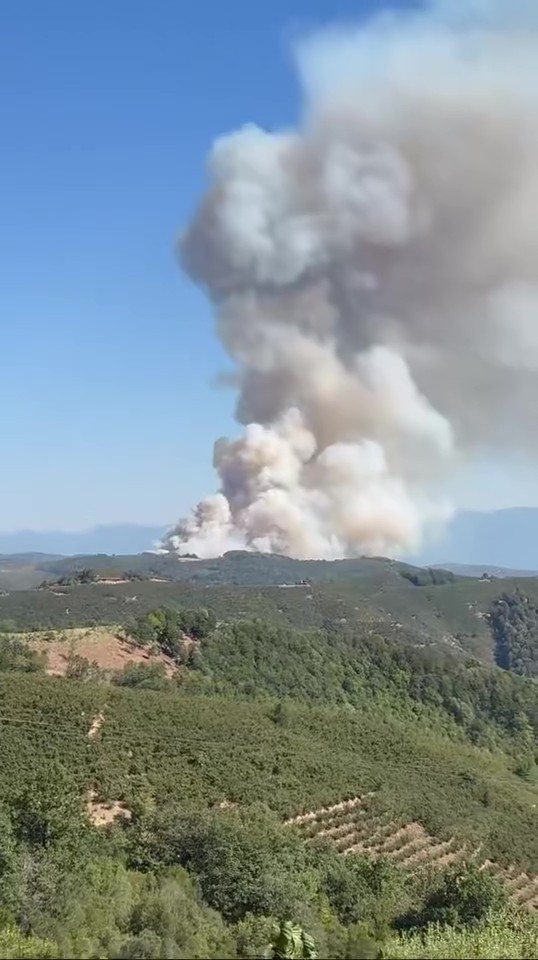 Sakarya’nın Hendek ilçesinde de yangın çıktı