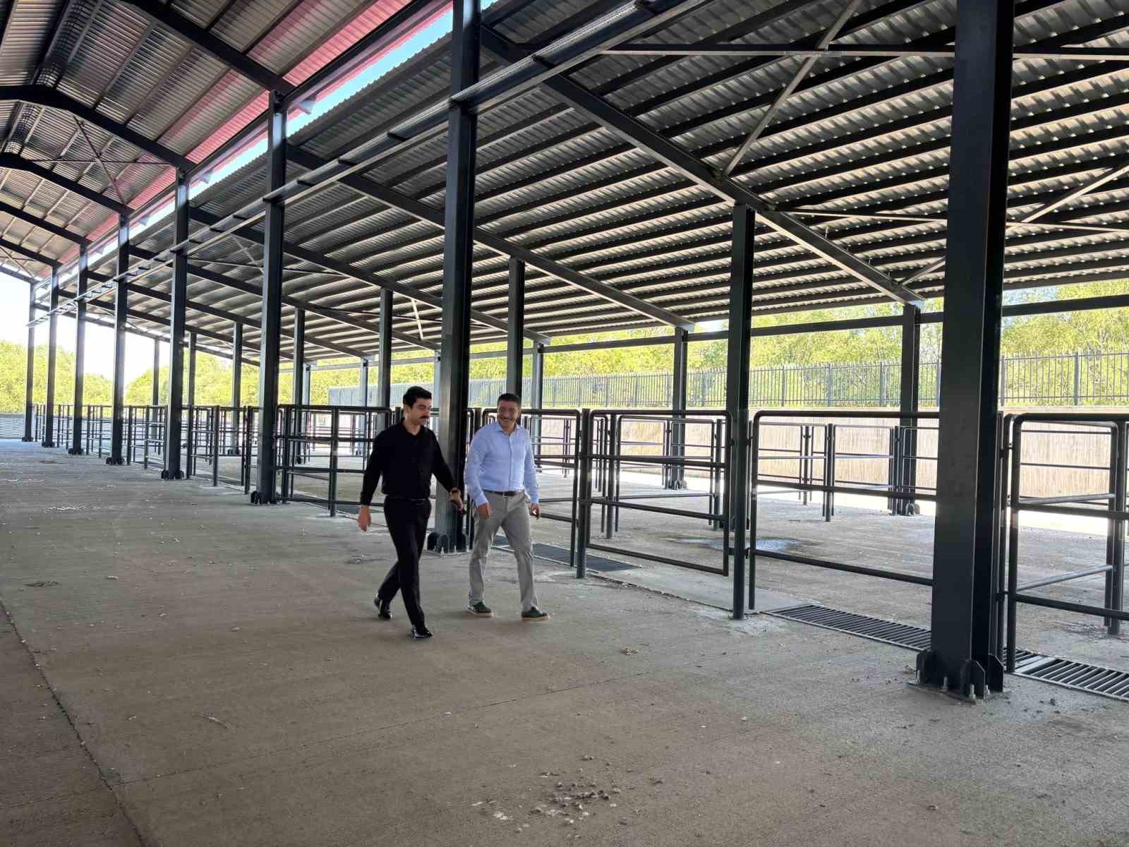 Susuz Kaymakamı Tutal, Hayvan Pazarı ve Mesire Alanı’nda incelemelerde bulundu