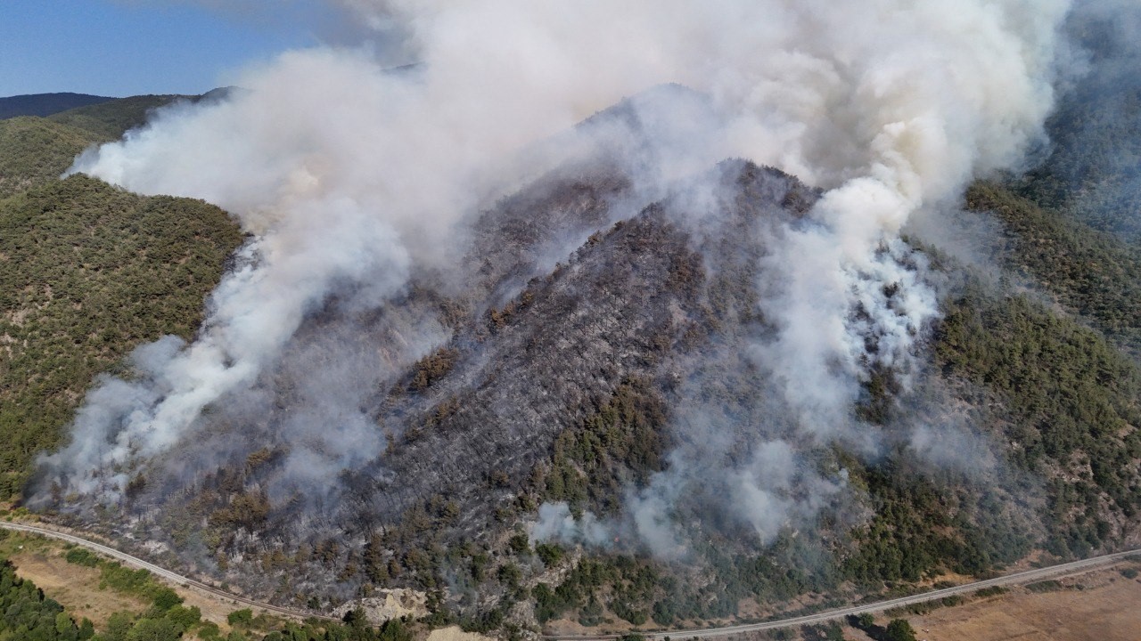 Karabük’te orman yangını
