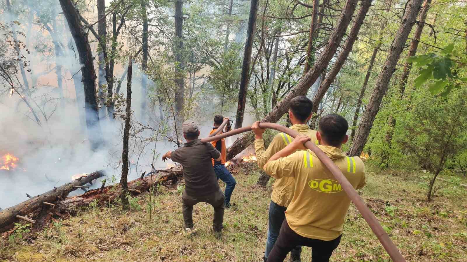 Karab&uuml;k&rsquo;te orman yangını
