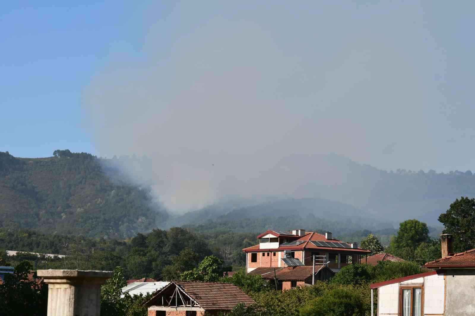 Sakarya Hendek’teki orman yangını kontrol altına alındı