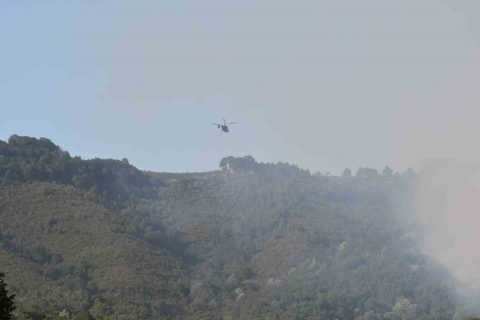 Sakarya Hendek’teki orman yangını kontrol altına alındı