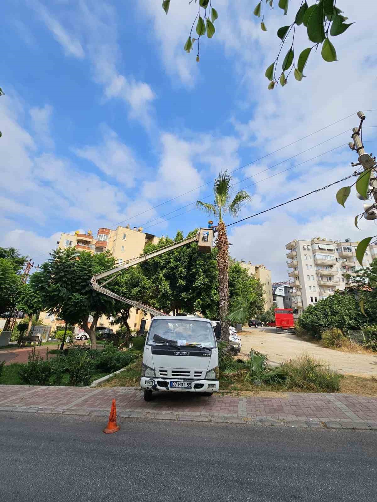 Alanya Belediyesi ve AEDAŞ’dan yangın riskine karşı önlem