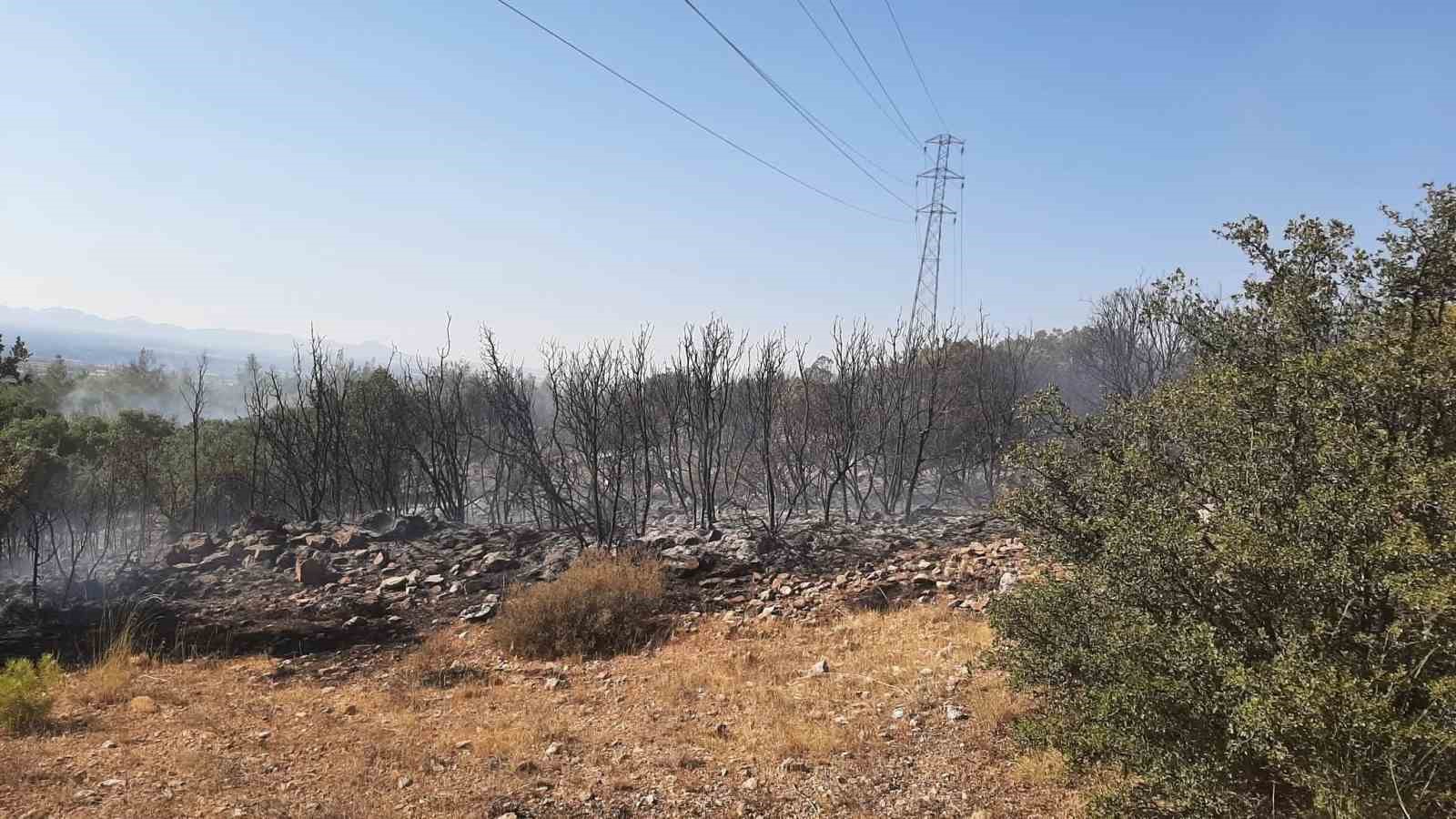 K&ouml;yl&uuml;ler alevlere set oldu
