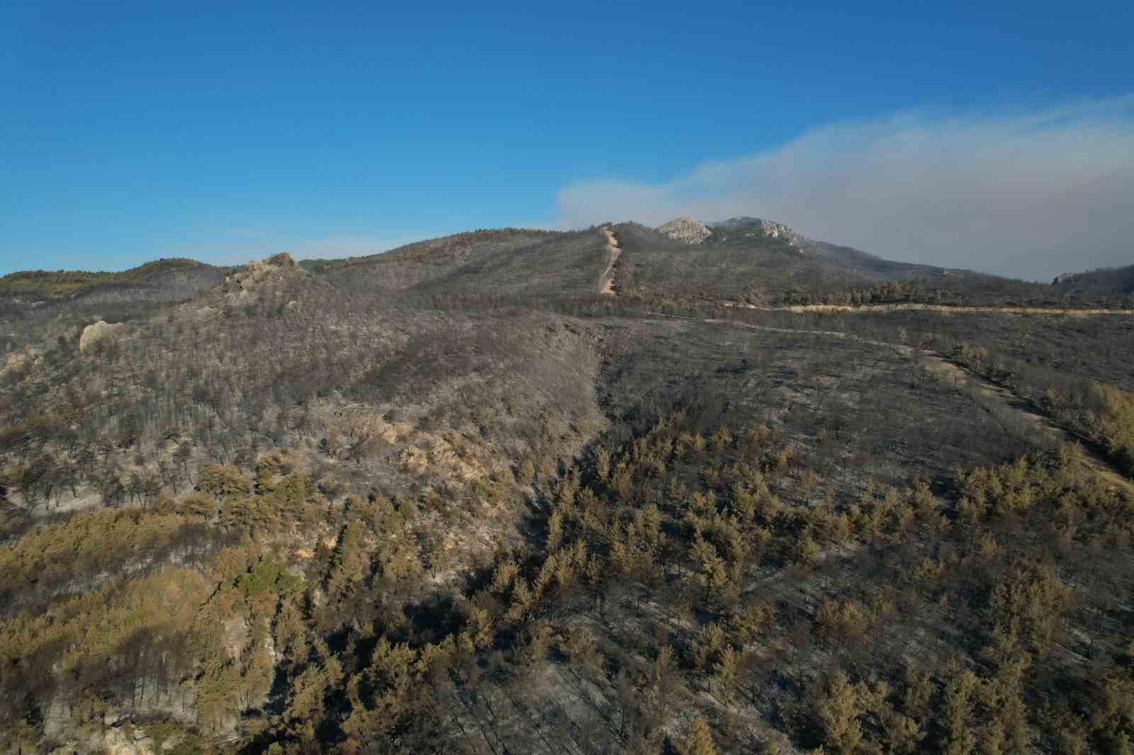 Sakarya&rsquo;da dumanlar dağıldı, yangının hasarı ortaya &ccedil;ıktı
