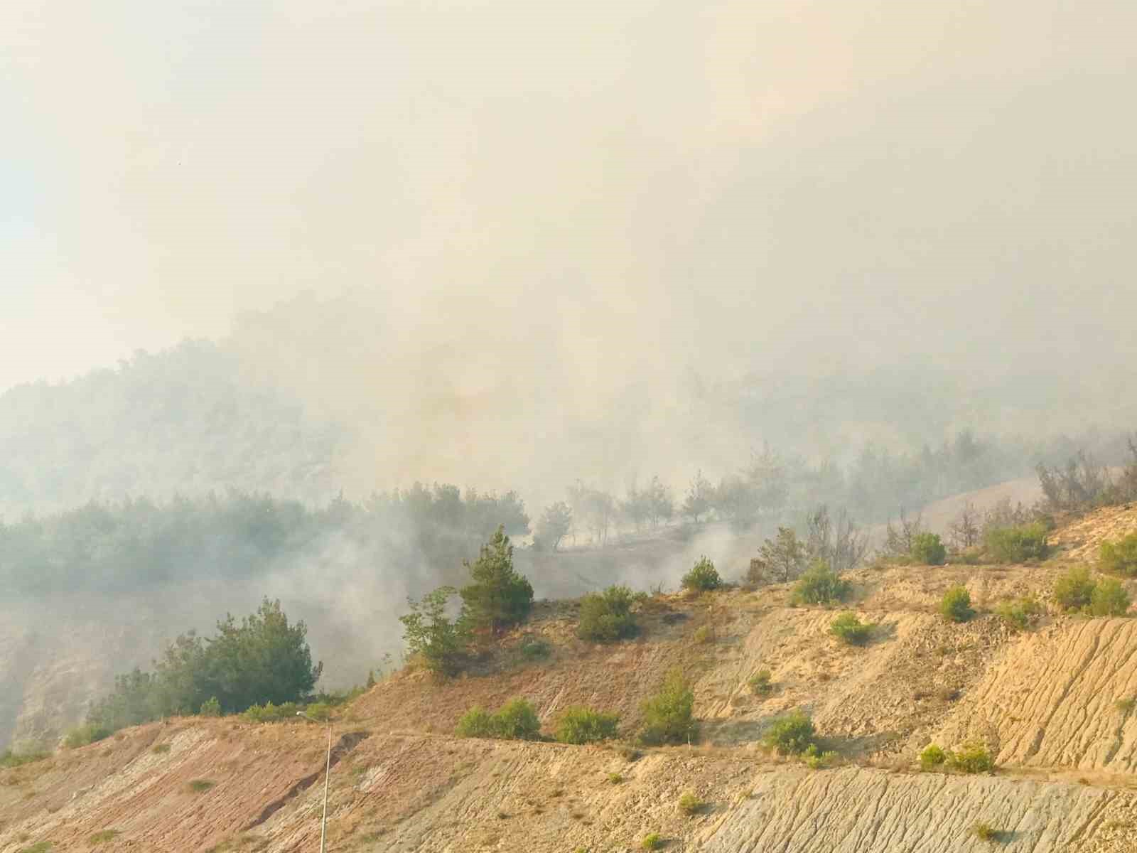 Tarihi İpek Yolu yanıyor