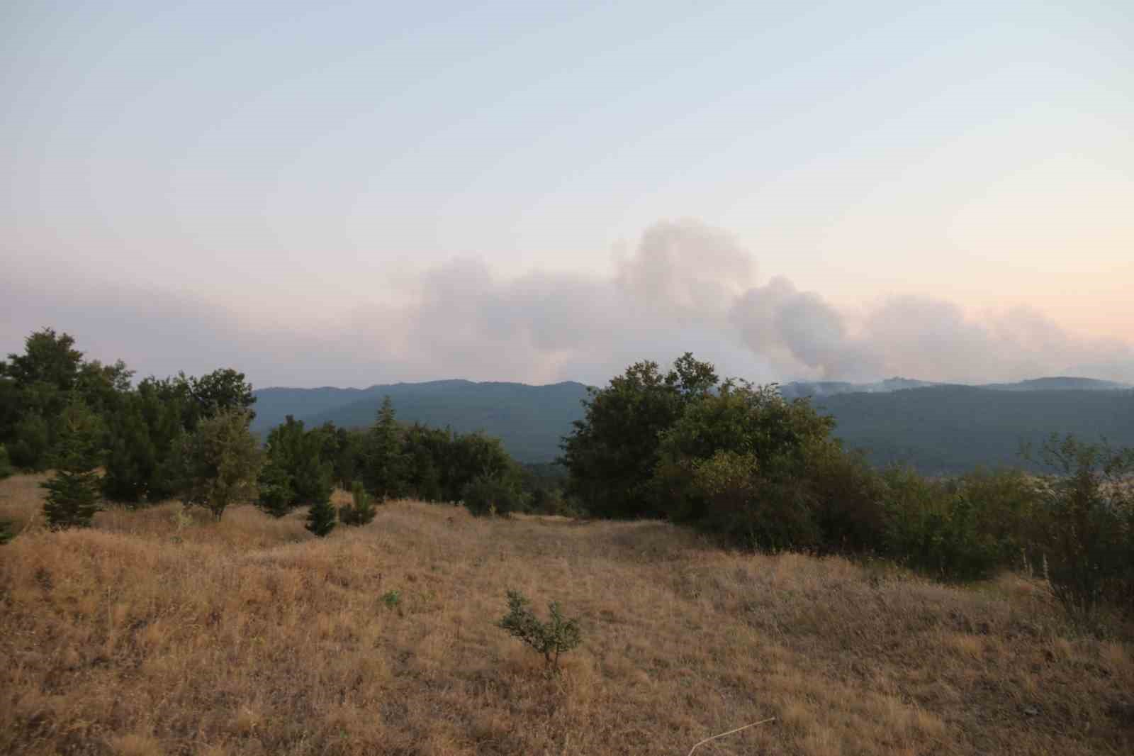 Eskişehir&rsquo;de orman yangınına havadan m&uuml;dahaleye ara verildi
