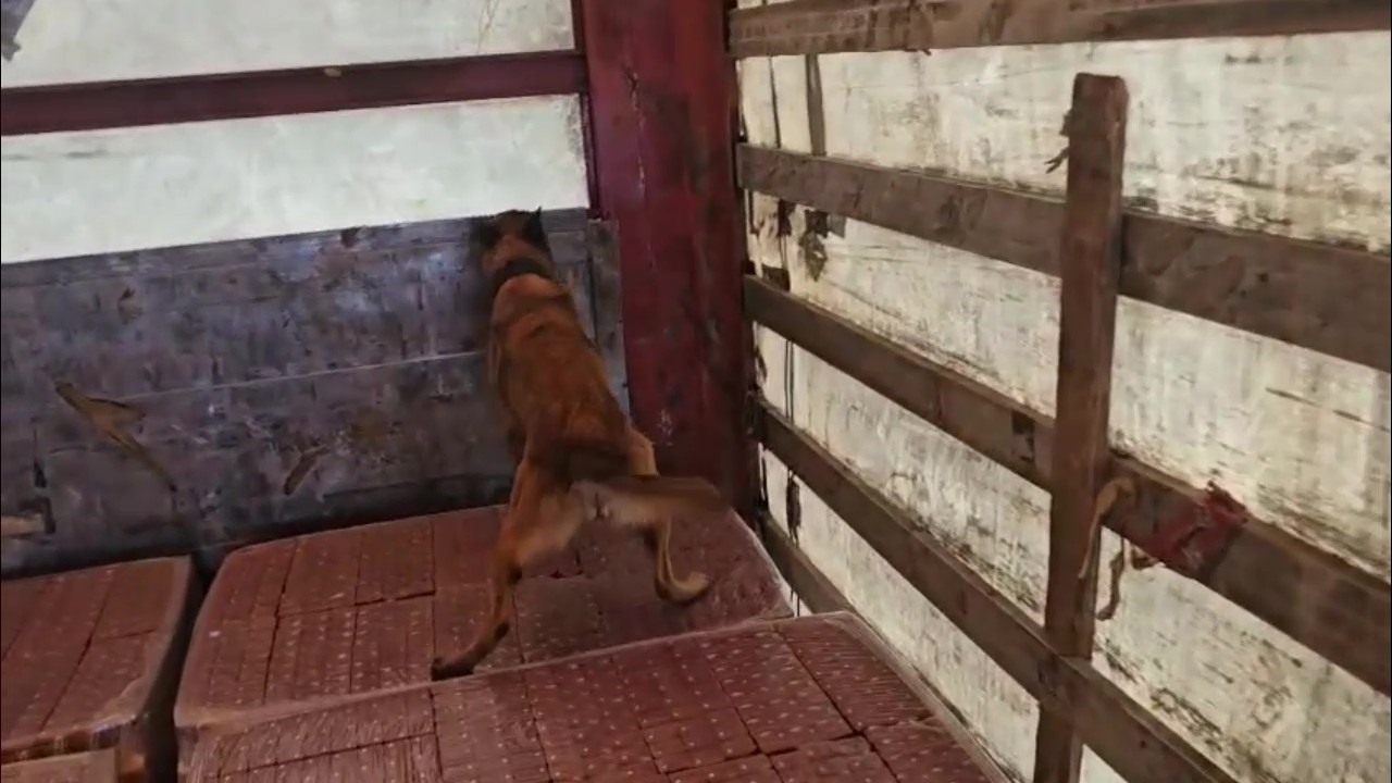 TEM Otoyolu’nda bir tırda 350 paket gümrük kaçağı sigara ele geçirildi