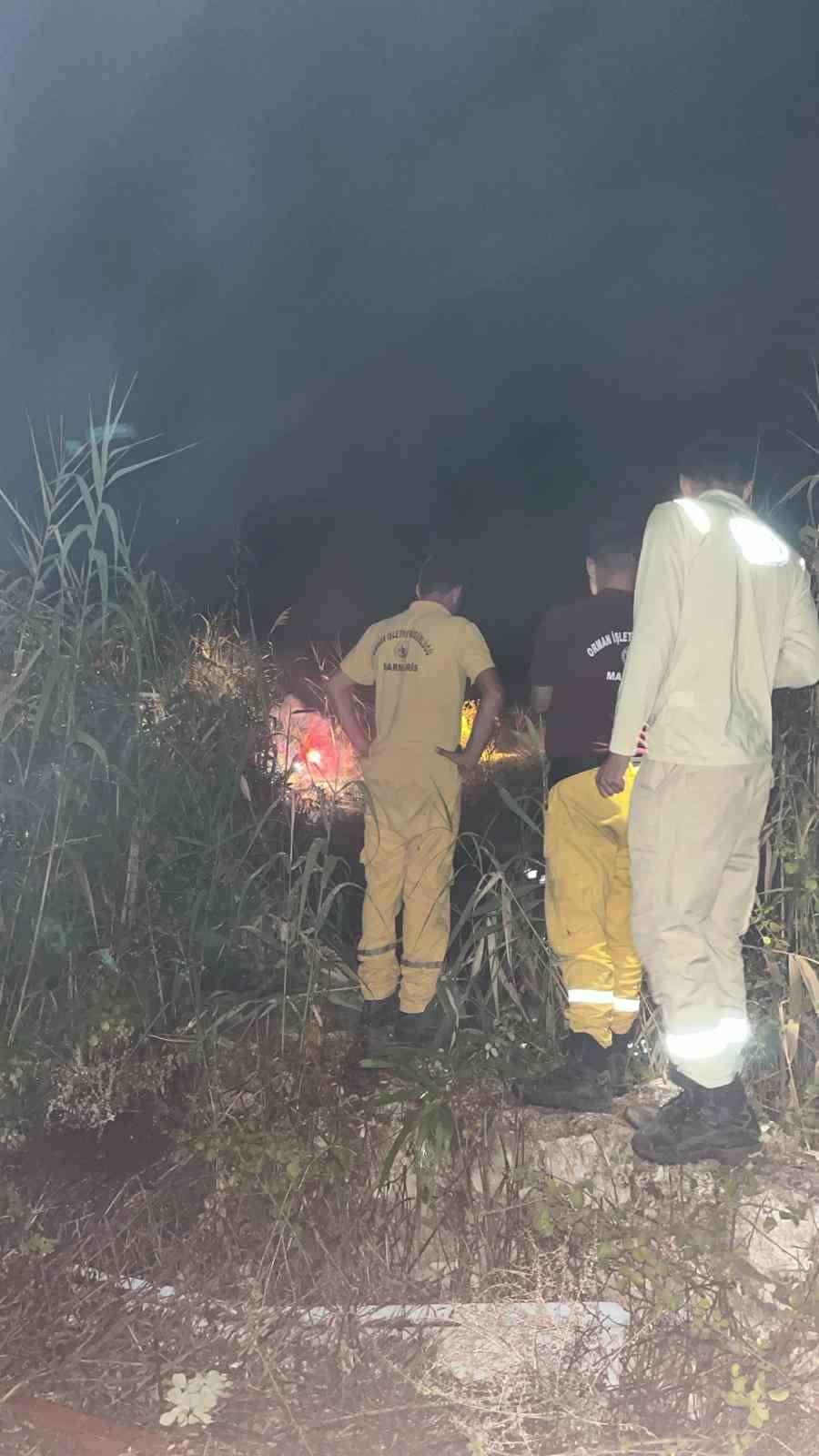 Datça’da otluk alandaki yangın büyümeden söndürüldü