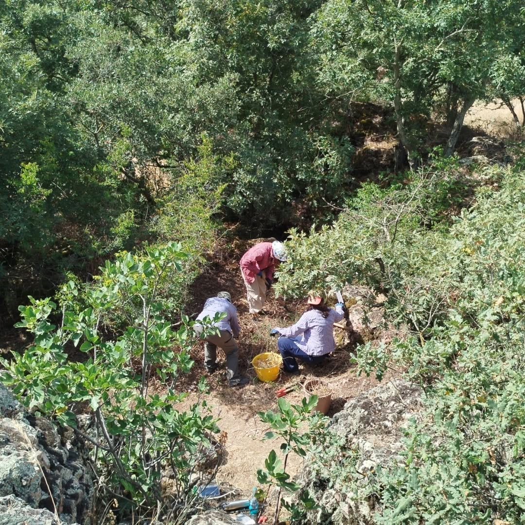 86 bin yıllık yaşam alanı bulunan İnkaya Mağarası&rsquo;nda 2025 kazıları başladı
