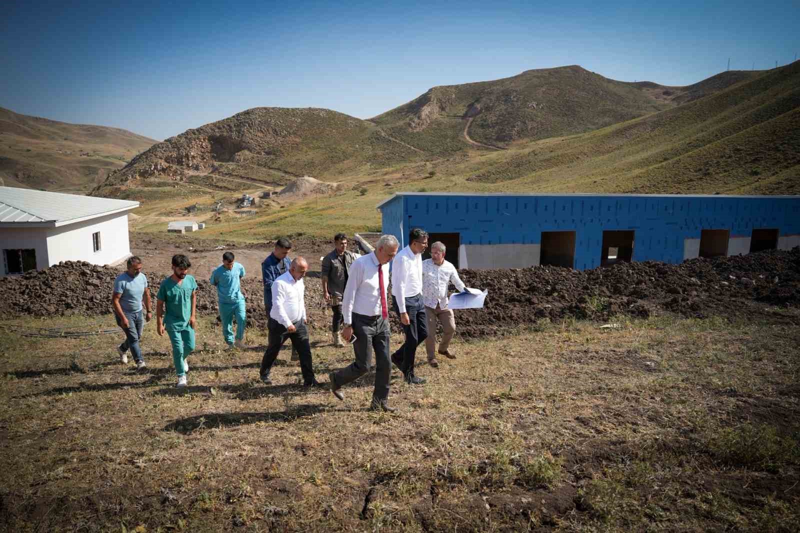 Y&uuml;ksekova&rsquo;da sokak hayvanlarına modern yaşam alanı
