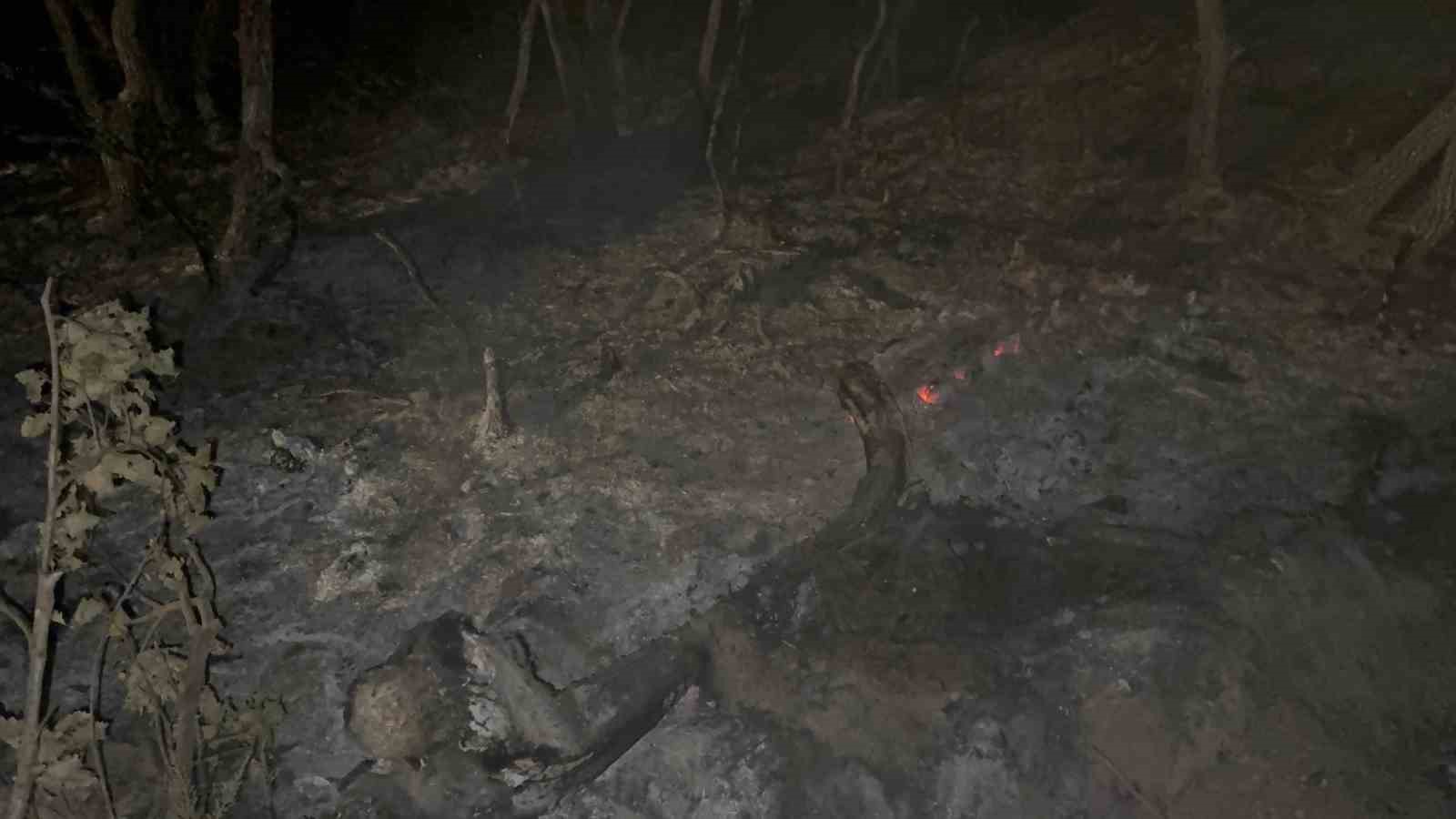 Gebze’de gece yarısı orman yangını: 7 dönüm alan kül oldu
