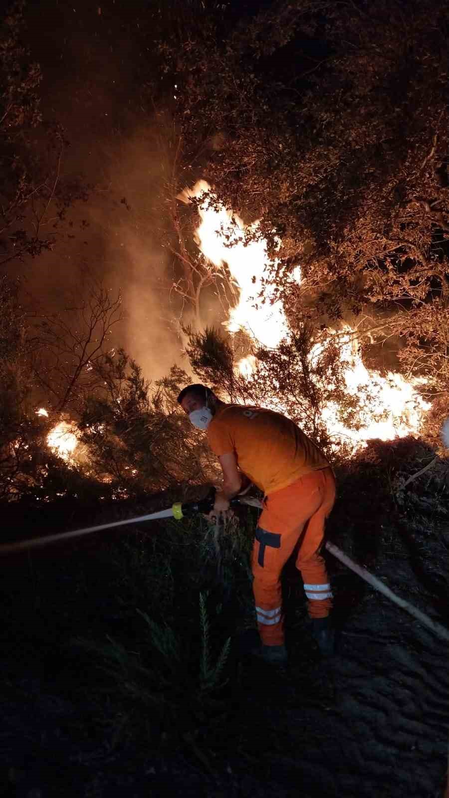 Gebze&rsquo;de gece yarısı orman yangını: 7 d&ouml;n&uuml;m alan k&uuml;l oldu
