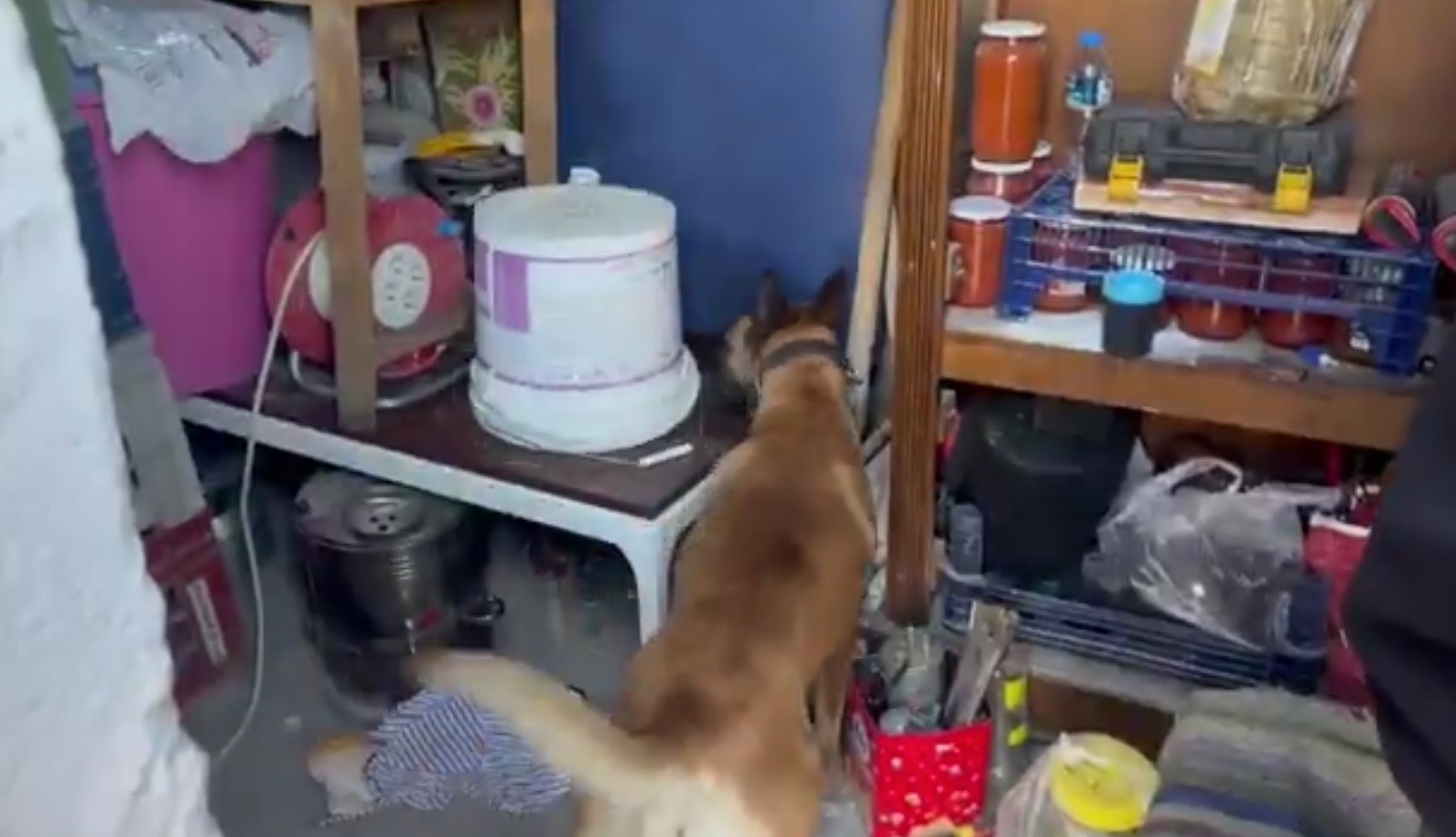 Kayseri’de 1 kilo 550 gram uyuşturucu ele geçirildi