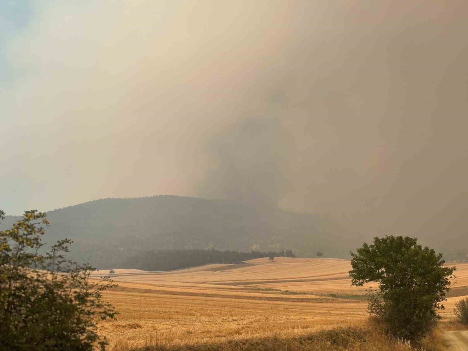 Bilecik’te orman yangını kısmen kontrol alındı