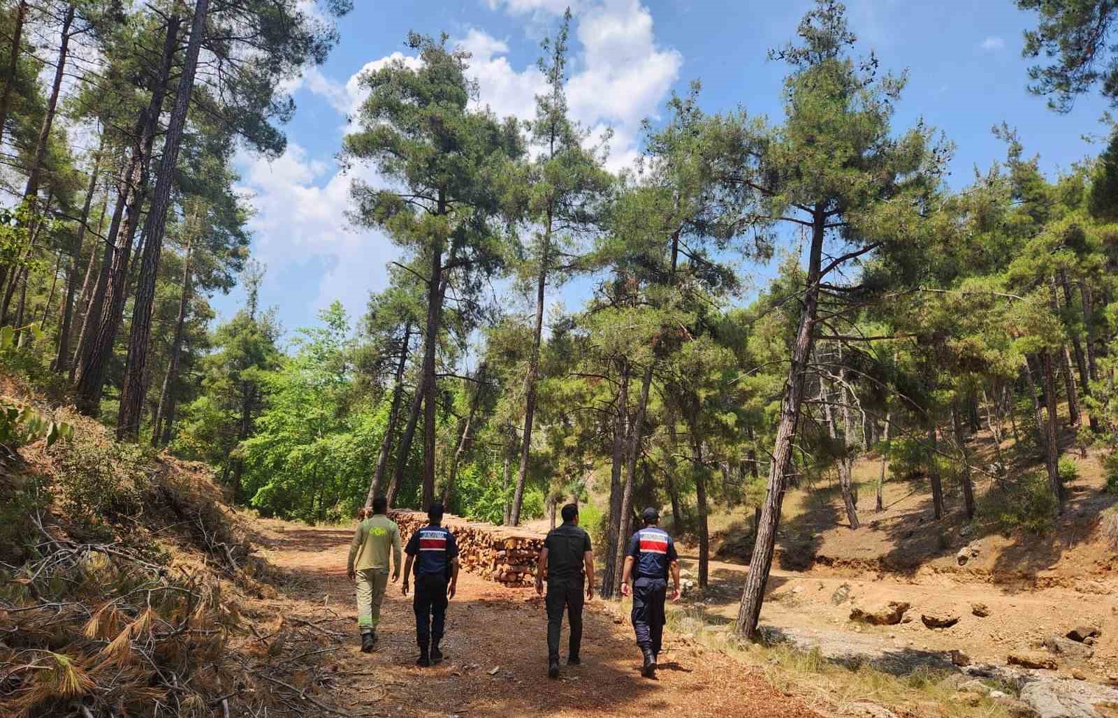 Mersin jandarmasından ormanlara sıkı koruma